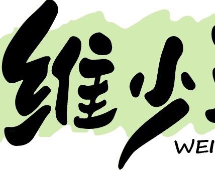 维少羽球
