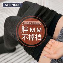 Leggings women dont drop spring and autumn fat mm thin pantyhose pants large size plus velvet loose thin velvet fattening