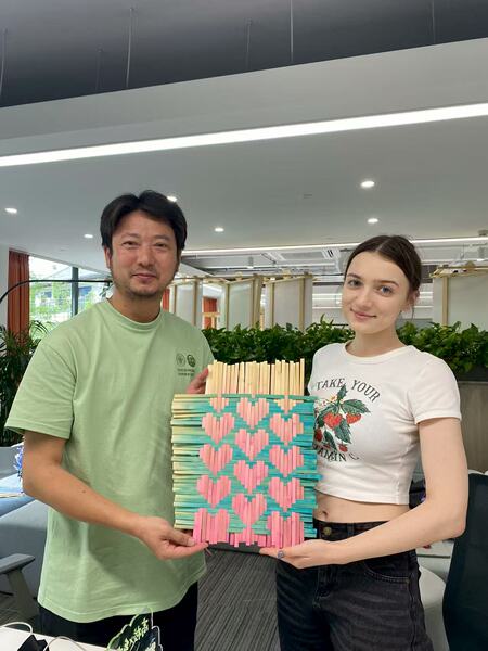 Colorful Bamboo Strips for Handmade Kindergarten DIY Weaving, Dyed Bamboo Strips, Bamboo Weaving Fan, Bamboo Weaving Boat Material Kit, Bamboo Pieces