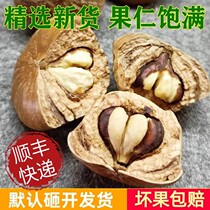 Wild wind fruit large turtle head Guangxi natural special - grade thick - grade 500g brew wine nourishes male health