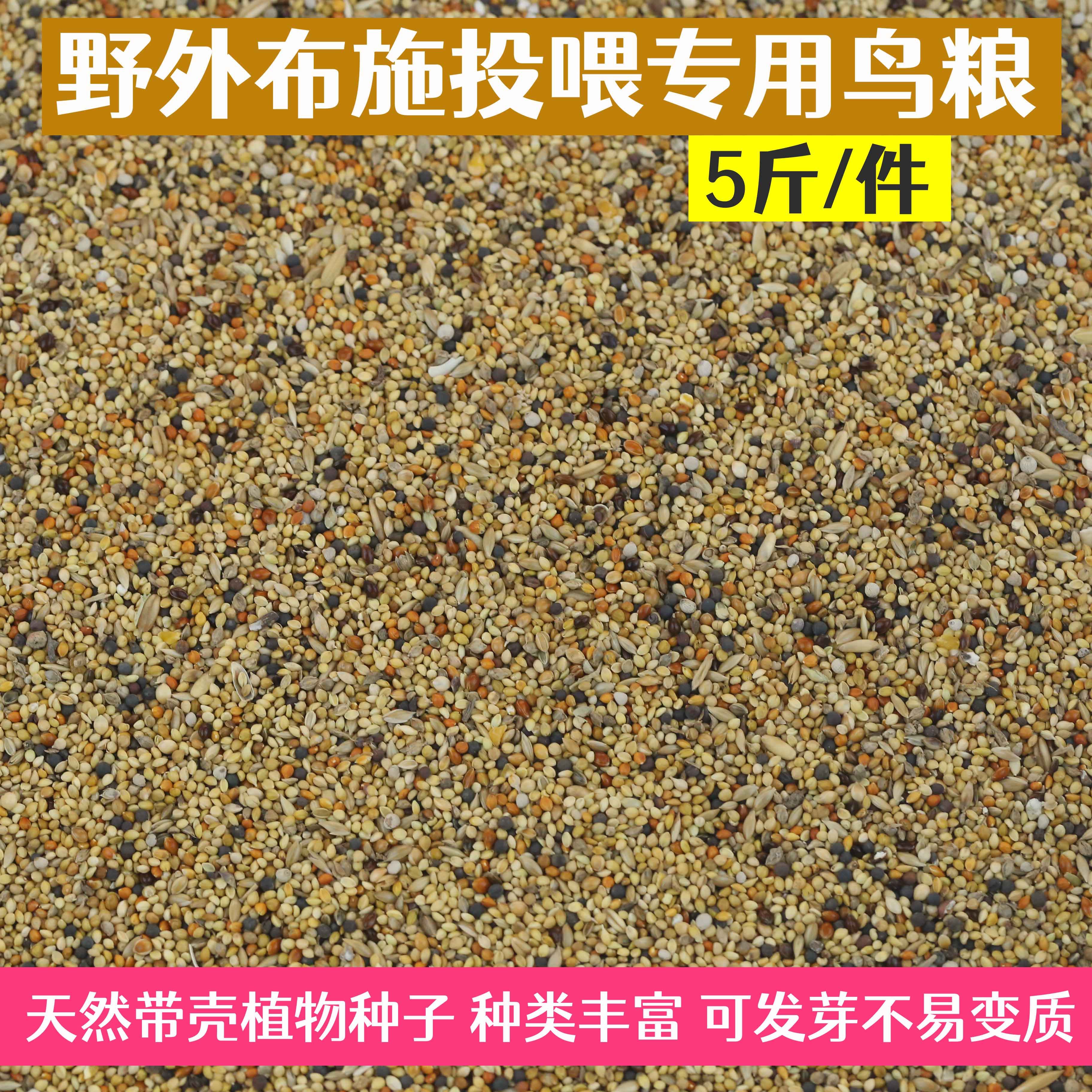 Small bird food, wild bird food, sparrow, spotted dove, bird food, natural bird food, wild feeding, special shelled food
