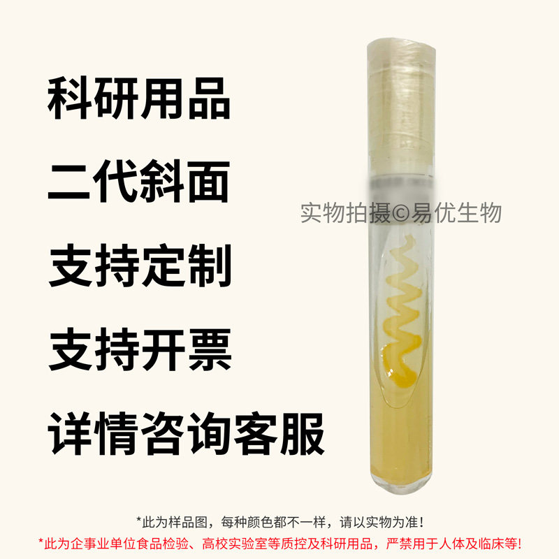 微生物实验 二代斜面 冻干粉 甘油 ATCC 实验菌种 CMCC 科研菌株