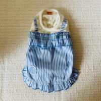 Бюст 31 длина 21