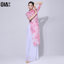 Qiya classical dance practice uniform female body rhyme gauze dance cheongsam long performance suit Chinese style Net yarn summer