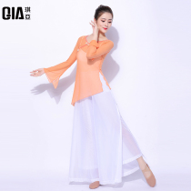 Qiya classical dance practice uniform female body rhyme gauze Chinese dance jacket Chinese national dance uniform