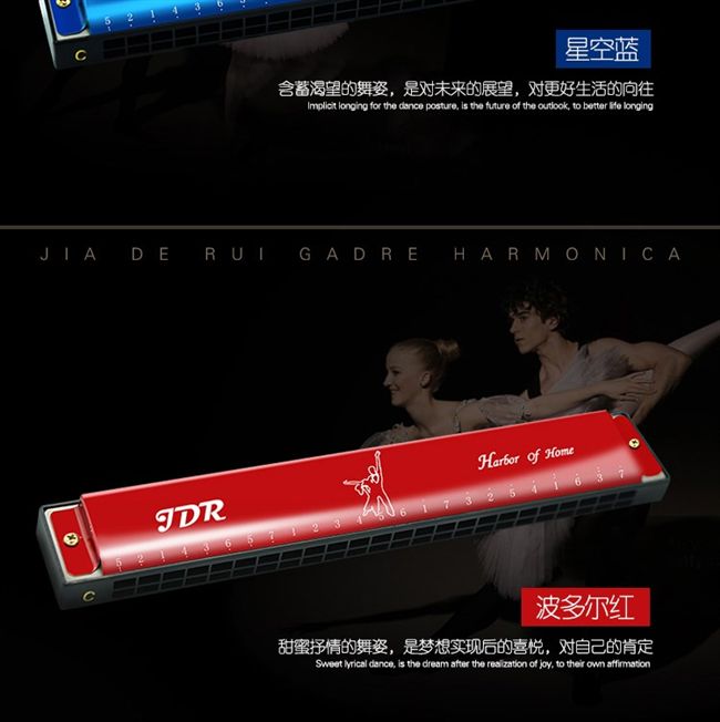Gió tây giới thiệu nhạc cụ hòa tấu tháp 24 lỗ chromatic Harmonica monophonic c giai điệu hòa âm sinh viên phí
