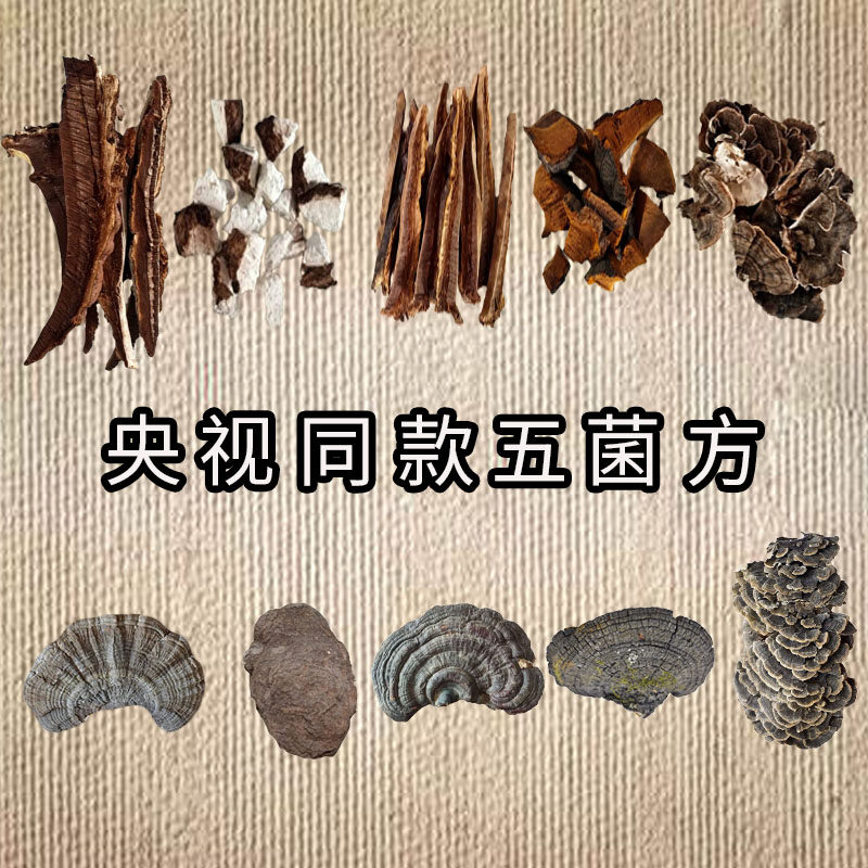 Changbai Mountain Wild Five Mushroom Square Wild Tree Tongue Yunzhi Red Zhi Mulberry Yellow Poria Fungus Five Mushroom Soup