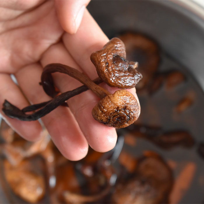 Northeast Terrific hazelnut mushrooms wild dried goods 500 gr long white hills fresh and no-clueless chicken stewed mushrooms-Taobao