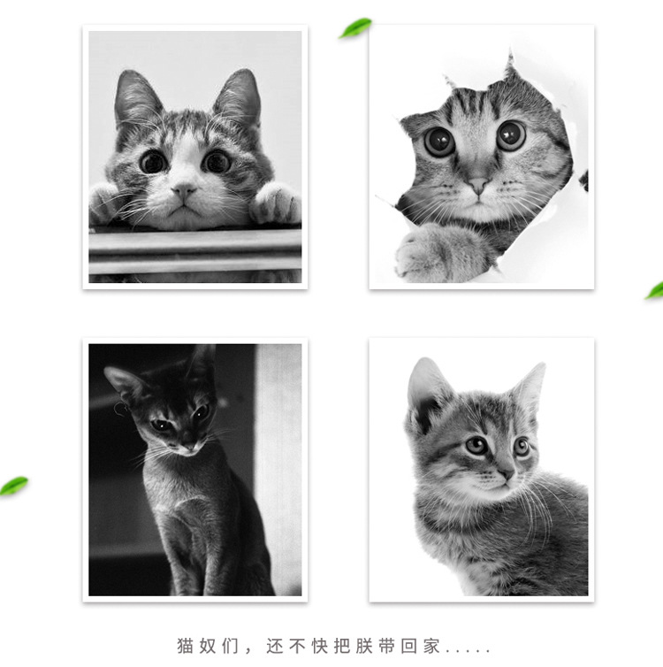 Cá tính sáng tạo cô tiên nhỏ Lori cặp đôi gối đơn con chó 48 * 74 trẻ em gối đơn gối ngủ