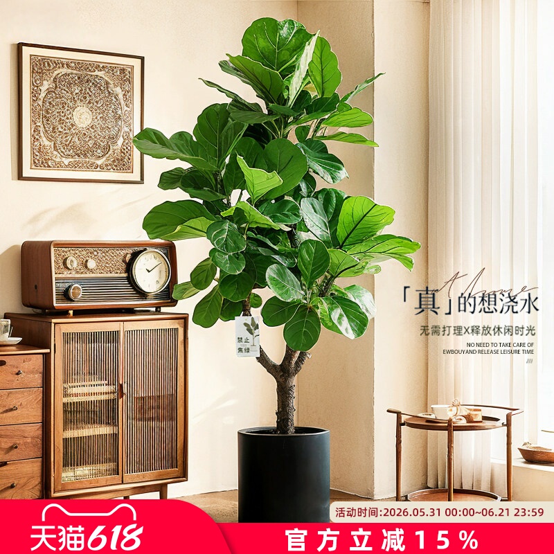 Simulated Green Plant, Ficus Lyrata, High-End and Realistic, Living Room Artificial Tree, Large Floor-Standing Flower Pot, High-End Light Luxury Ornament Simulated Green Plant, Ficus Lyrata, High-End and Realistic, Living Room Artificial Tree, Large Floor-Standing Flower Pot, High-End Light Luxury Ornament