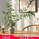 Bamboo simulation fake green plant potted Song Dynasty aesthetic soft decoration Zen ornaments Chinese style guest restaurant tea room study decoration