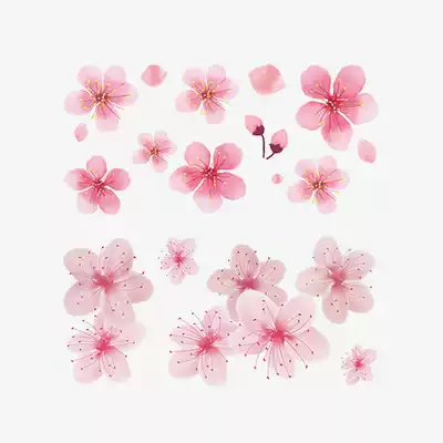 Ancient wind cherry blossom tattoo stickers eye eye nevus small flower peach flower collarbone flower Flower hipster Net red cute tattoo stickers