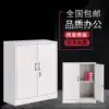 Split double lower section iron door open low cabinet Office iron file cabinet Locked data file cabinet Certificate book cabinet
