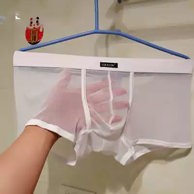 Sexy men's underwear men's full transparent briefs Elephant JJ cover low waist sexy sex pants mesh breathable YL