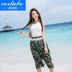 CORTUBO những người yêu thích áo ba lỗ thời trang mới nylon spandex bảo thủ áo tắm nữ mùa xuân nóng thương hiệu truy cập - Vài đồ bơi Vài đồ bơi