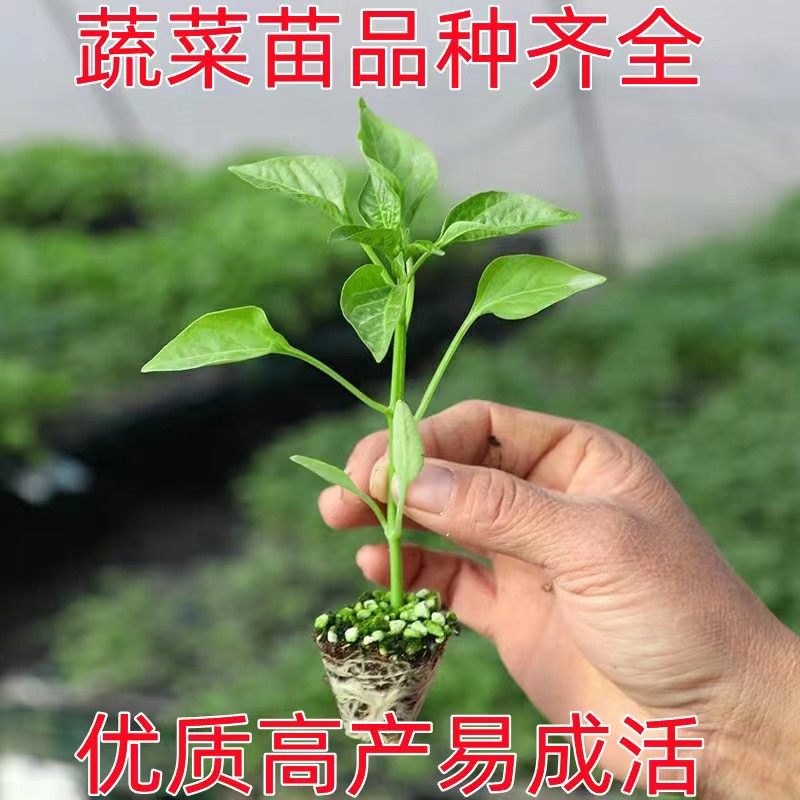 小米14参数配置表大揭秘！打工人必看，性价比天花板来了！