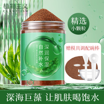 Botanist seaweed mask small particles Pure Hydration moisturizing cleaning pregnant women beauty salon special seaweed mud