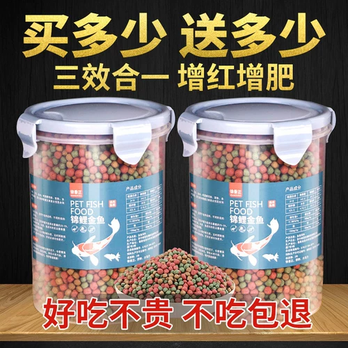 Рыба -корма кои кормить декоративную рыбную золотую рыб