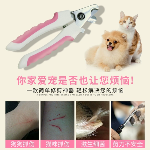 Домашняя кошка, собачья гвоздь срезана собачья собака срезка нож