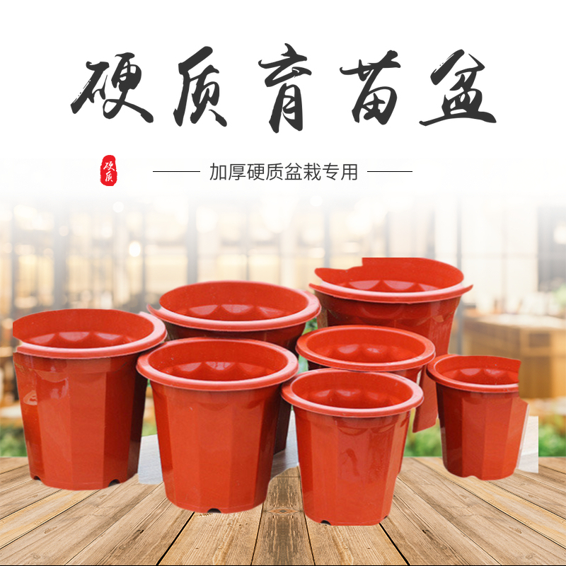 Large potted plant seedling basin rigid plastic simple flower pot large number thickened high-footed fruit tree bonsai planting basin