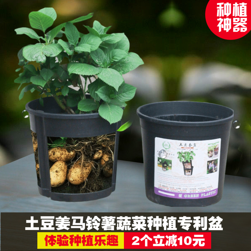 Large Resin Vegetable Pots for Home Gardening, Potato Planting Pots, Peanut and Ginger Planting Buckets, Gallon-Sized Flower Pots, Specialized Pots