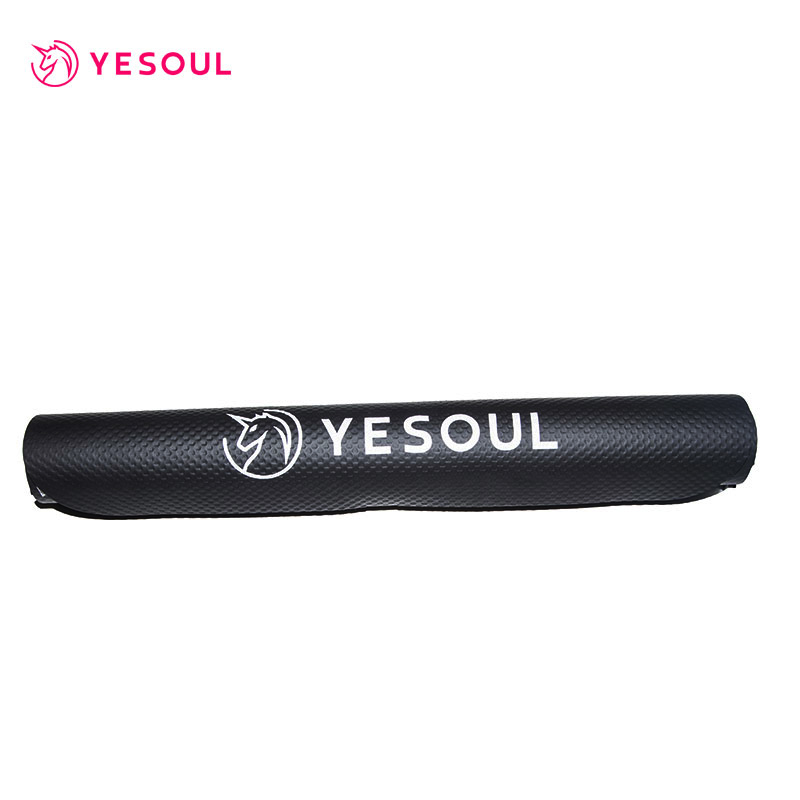 (Dynamic xe đạp mat) YESOUL Wild Beast S1 X1 M3 sàn mat pad thiết bị hấp thụ sốc sàn mat