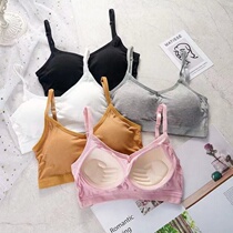 One-piece beauty back underwear womens non-underwire gathering sports suspender girl base top type bandeau bra thin model