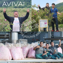 Town shop Bulgarian Damascus 17-22 degrees crystalline pure unilateral oturose essential oil 1ml