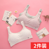 Developmental girls underwear small vest thin 14-16-18-year-old junior high school girl students without steel ring bra