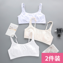 Girl underwear junior high school student girl 9-12-16 year old child girl Youth Development small vest cotton bra