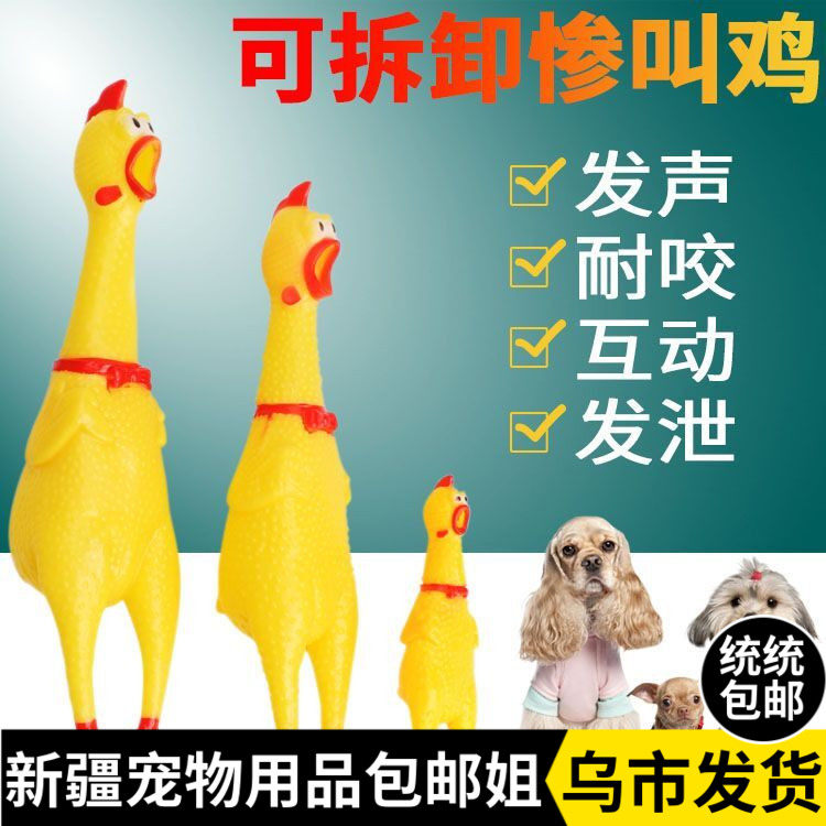 The Xinjiang brother-in-law called the chicken scream and the dog teasing the cat's vocable toy a bit of what would be called a fight