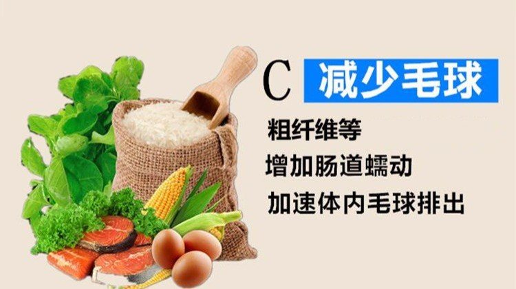 Thức ăn cho mèo dinh dưỡng 10 kg 5Kg mèo con có hương vị cá già Mèo biển thức ăn chính lang thang (giao 9 kg) royal canin giá rẻ