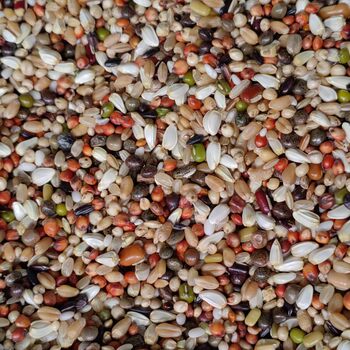 Yipinhong a-grade small particle brooding pigeon food spray nest feed young pigeon food ornamental pigeon pigeon food 50 ປອນສົ່ງຟຣີ
