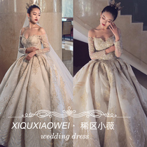 Spring and summer main wedding dress 2021 new temperament bride luxury big tail European starry sky one-shoulder long-sleeved