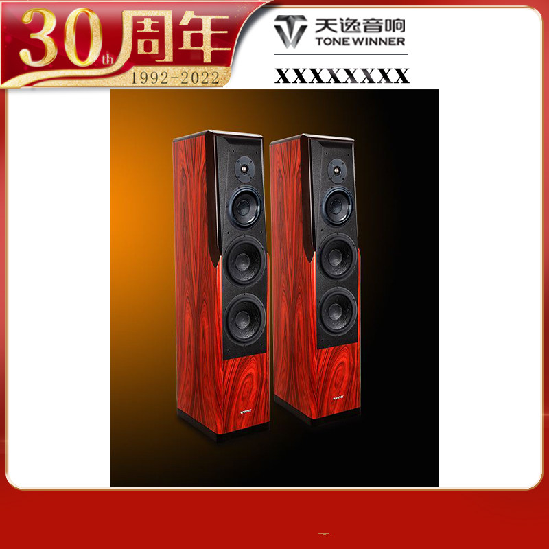 Winner TD - 1 three - divide four unit high - end electronic decomposition floor speaker