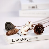 Dry pine crop cotton small dry flower decoration flower decoration in flower arts bouquet fittings shooting props