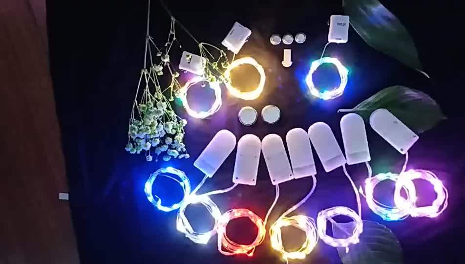 Woohaha Battery Operated Mini Fairy String Light 10led Copper Wire