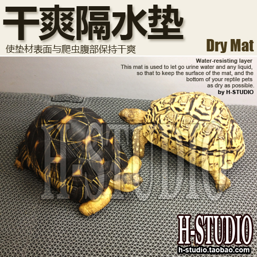 Dry water cooling pad to prevent moisture patients Multi-size selection to send a tape ruler paper cutter