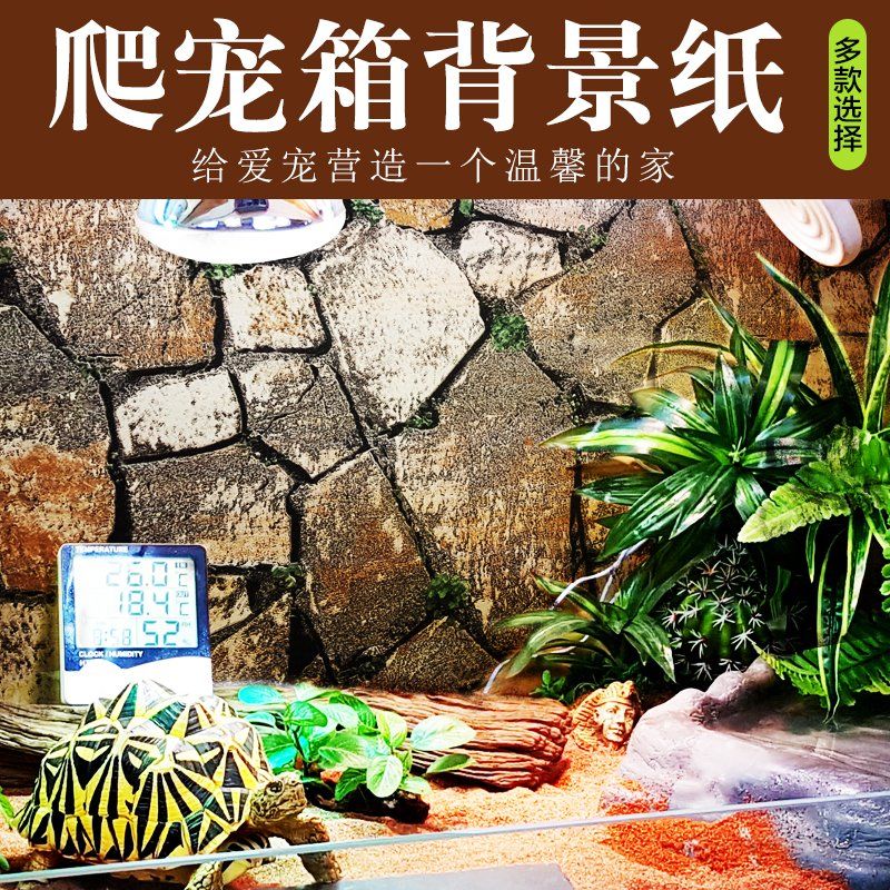 Reptile box background paper background wall Tortoise box Chameleon box Lizard landscape A B C size optional