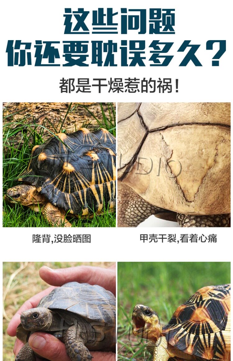 Аксессуары для рептилии 包邮 爬宠陆龟加湿大号/小号爬箱躲避洞 爬虫保湿预防隆背 送瓷盆 H/STUDIO