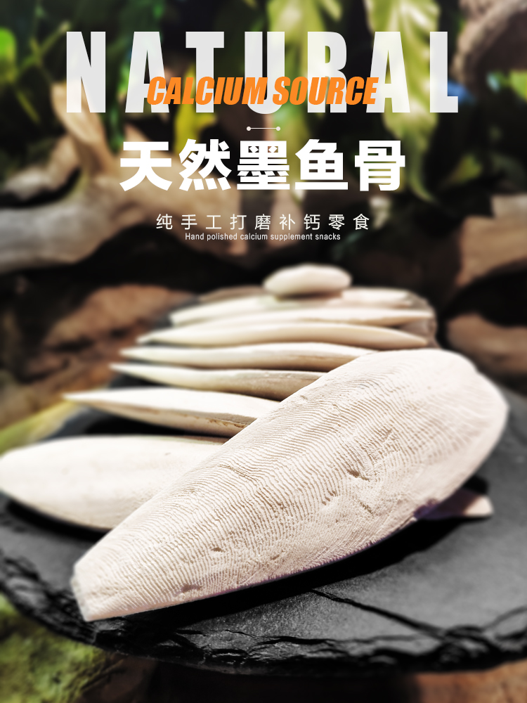 Natural calcium supplement Fine grinding cuttlefish bone Tortoise Water turtle Reptile calcium source H-STUDIO
