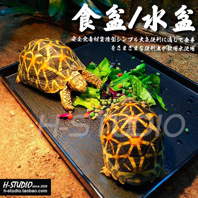 2 pieces PE rectangular fan-shaped reptile tortoise food plate Food basin Water plate Water basin Food safety grade