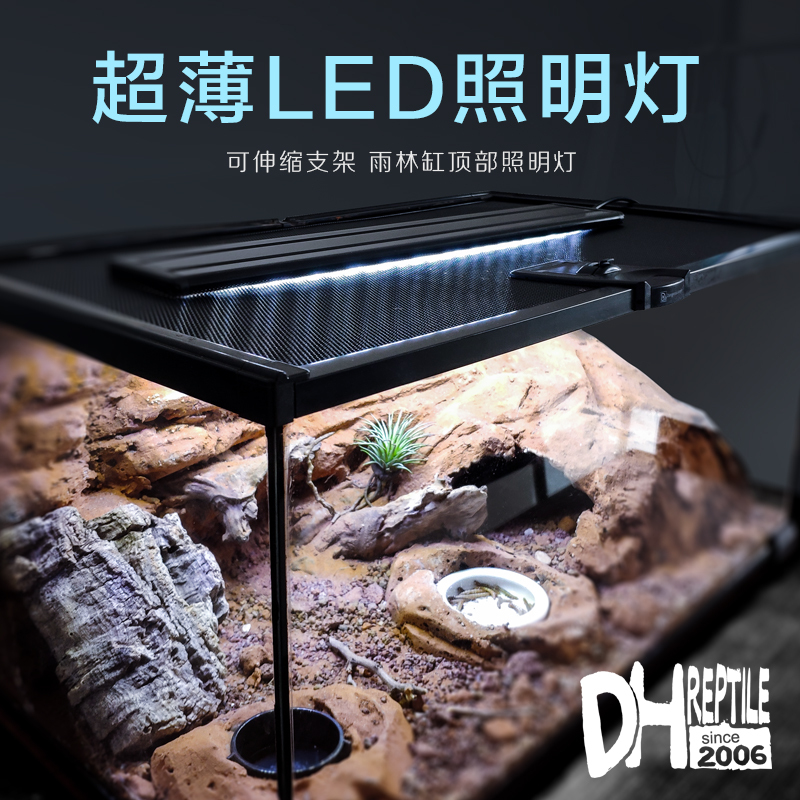 Dh Bracket Aquatic Turtle Rainforest Tank Light Illumination Lamp Brightening Led Light Waterproof Natural Light Cold Tone Low Light Aquarium
