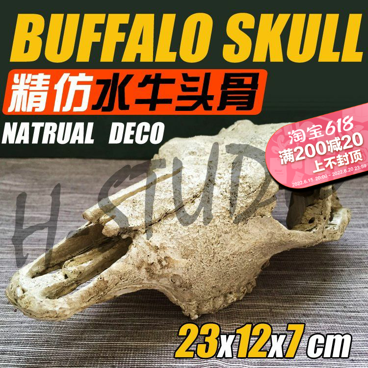 Simulation Buffalo Crocodile Skull Skull Skull-made Tortoise Lizard Lizard Lizard Reptile of Tropical Rainforest Desert Emulation Bone