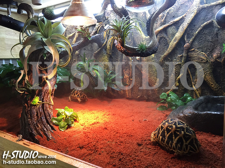 Аксессуары для рептилии 包邮 原色砂石 原生态陆龟箱鬃狮王者垫材 粪便易清理 4kg H/STUDIO