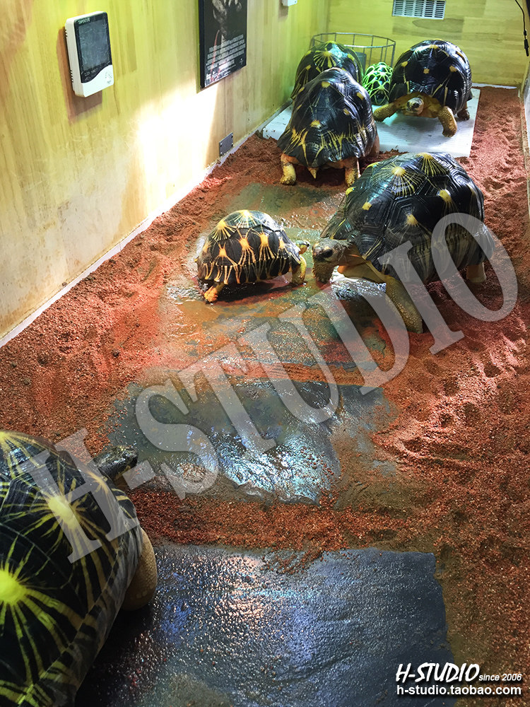 Аксессуары для рептилии 包邮 原色砂石 原生态陆龟箱鬃狮王者垫材 粪便易清理 4kg H/STUDIO