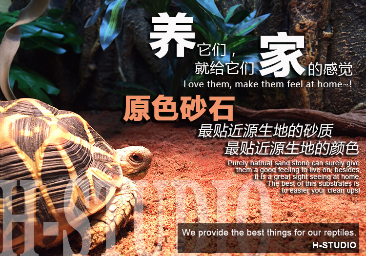 Аксессуары для рептилии 包邮 原色砂石 原生态陆龟箱鬃狮王者垫材 粪便易清理 4kg H/STUDIO