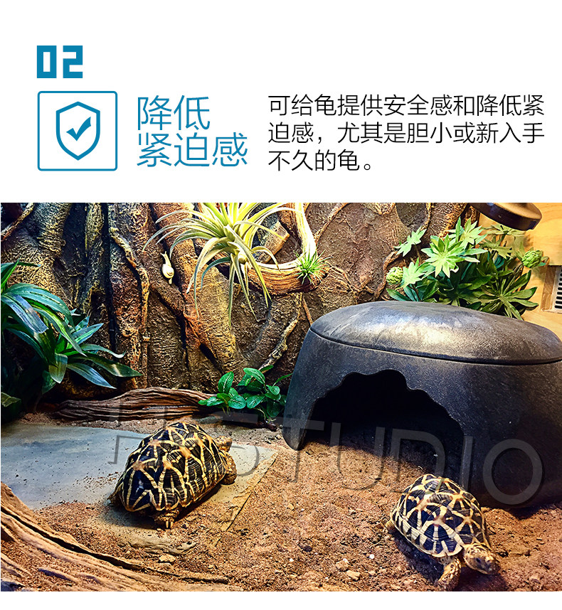 Аксессуары для рептилии 包邮 爬宠陆龟加湿大号/小号爬箱躲避洞 爬虫保湿预防隆背 送瓷盆 H/STUDIO