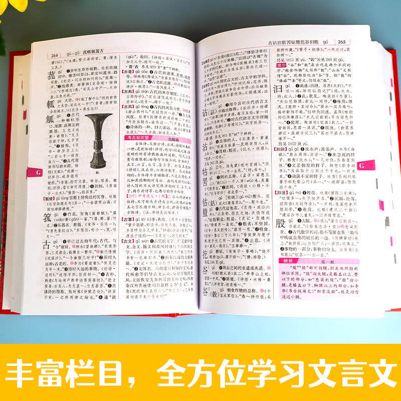 学生实用古代汉语词典,文言文学习的好帮手?-汉语/辞典-淘宝好物网