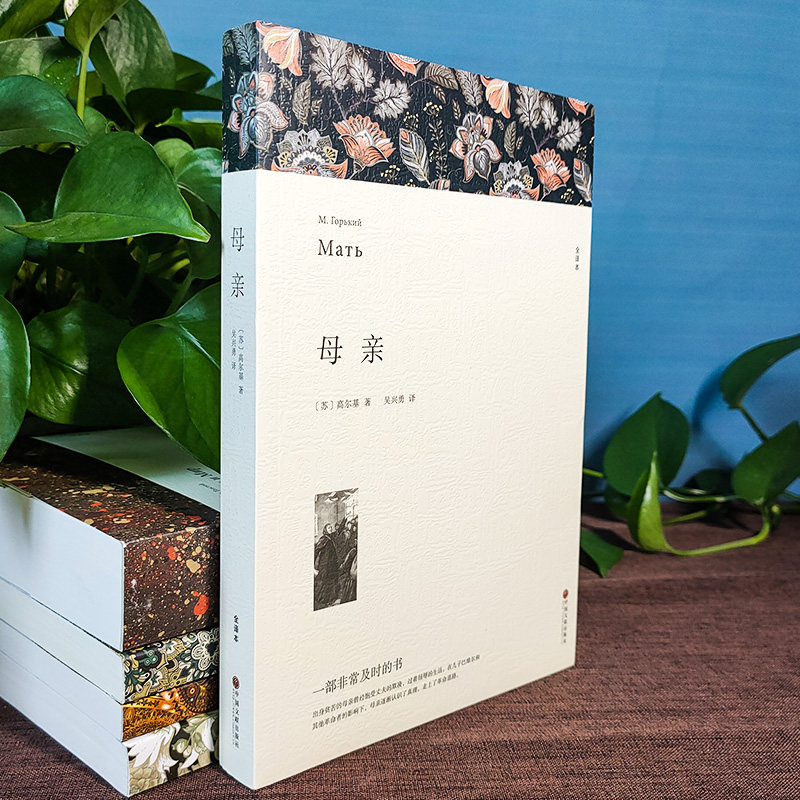 文学小说《列宁的母亲》：老版旧书实物拍图，好书收藏必备📖 -小说-淘宝百科网
